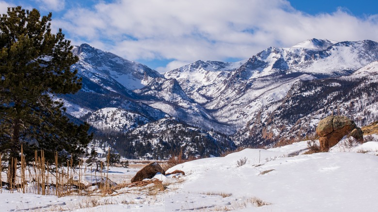 Winter in Moraine Park, in Rocky Mountain National Park, Colorado