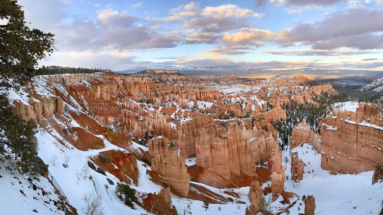Winter sunrise over Bryce Canyon National Park in Utah, USA. Snow-covered hoodoos and cliffs glowing in golden light under dramatic sky.