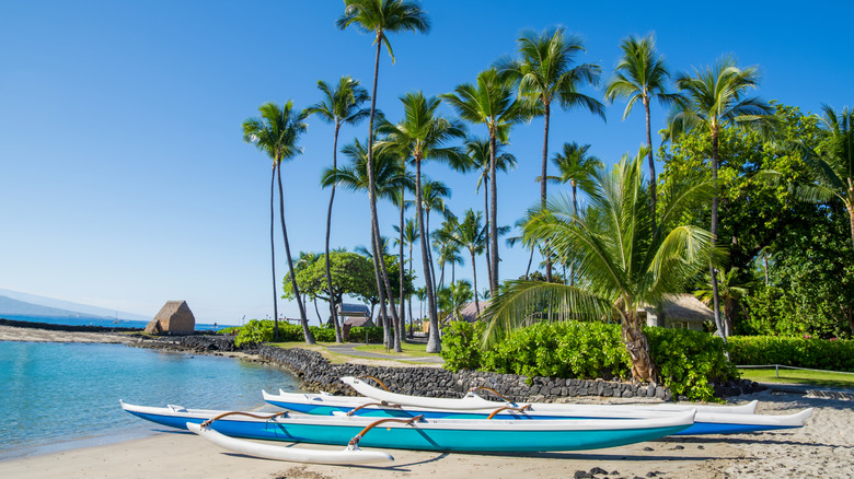 Outrigger canoes sitting on a white-sand beach with palm trees and water nearby in Hawaii