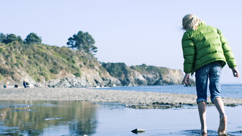 An older woman wearing a green puffer jacket strolling along beach tide pools in Mendocino, California