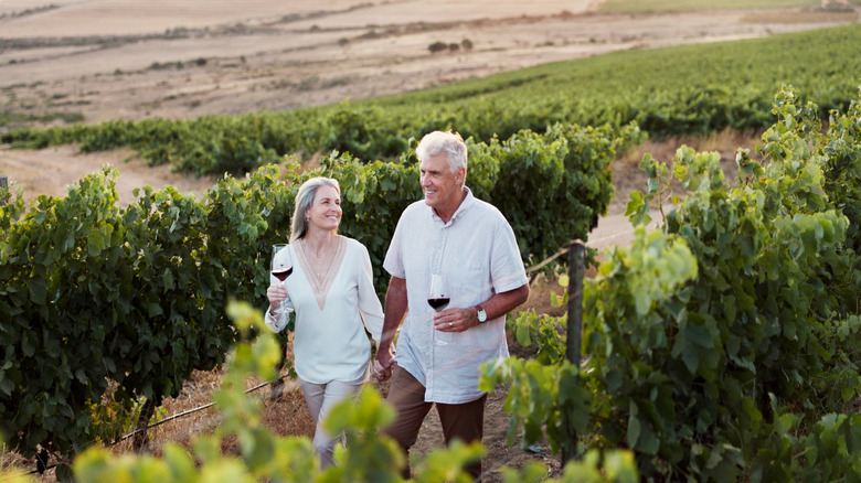 A senior couple walking through a California vineyard while holding hands and glasses of red wine