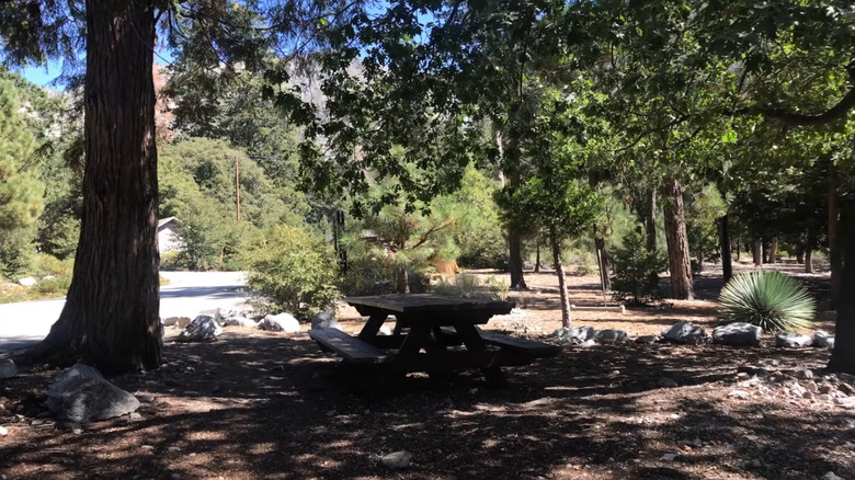 Picnic table under trees at Crystal Lake in Azusa near Los Angeles