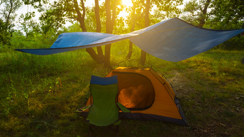 A tarp strung between treets can shelter a small tent