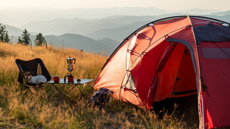 Tent setup at a mountain campsite