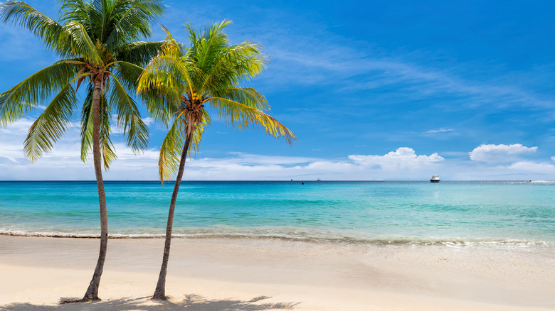 two coconut trees on a white-sand beach with a distant ship visible on the bright, teal water in Jamaica
