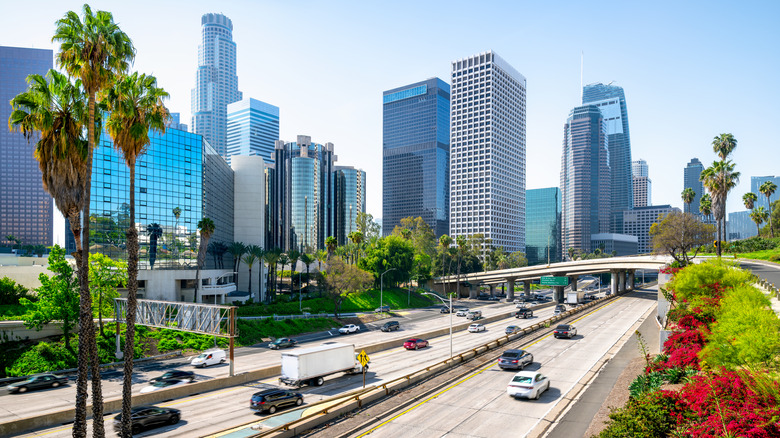 The Los Angeles skyline