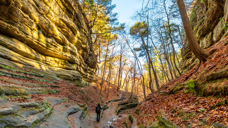 Sandstone caverns in Starved Rock State Park near Oglesby, Illinois
