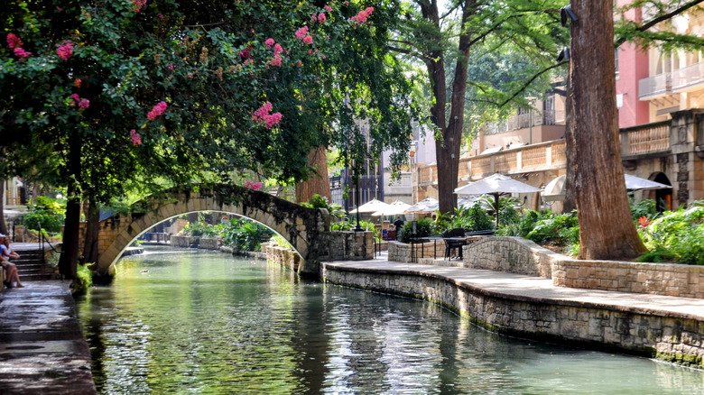 A view of the San Antonio River with vibrant flowers and a bridge