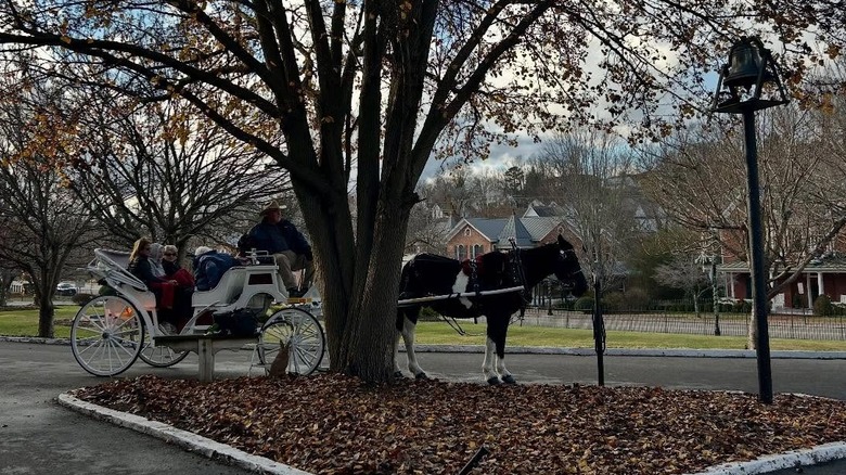 A horse and carriage near downtown Abingdon, Virginia