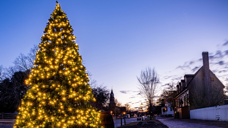 A Christmas tree and silhouette historic buildings in downtown Williamsburg