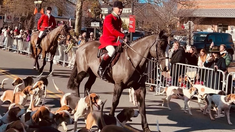 Costumed riders parade with dogs during the Middleburg Hunt