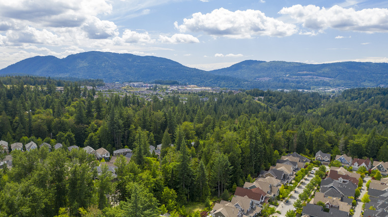 Aerial view of mountains and houses in Issaquah, Washington