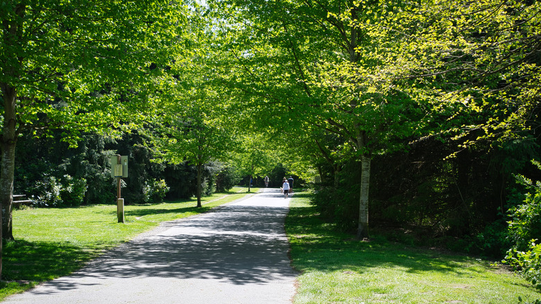 Walking trail near the Sammamish River in Woodinville, Seattle