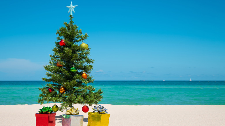 Christmas tree on a Florida beach
