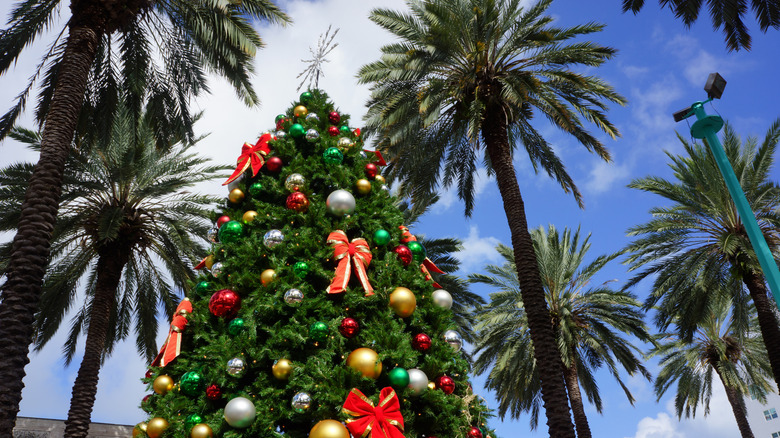 Christmas tree and palm trees in Florida