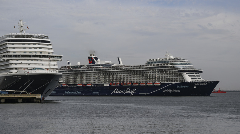 Two cruise ships at sea