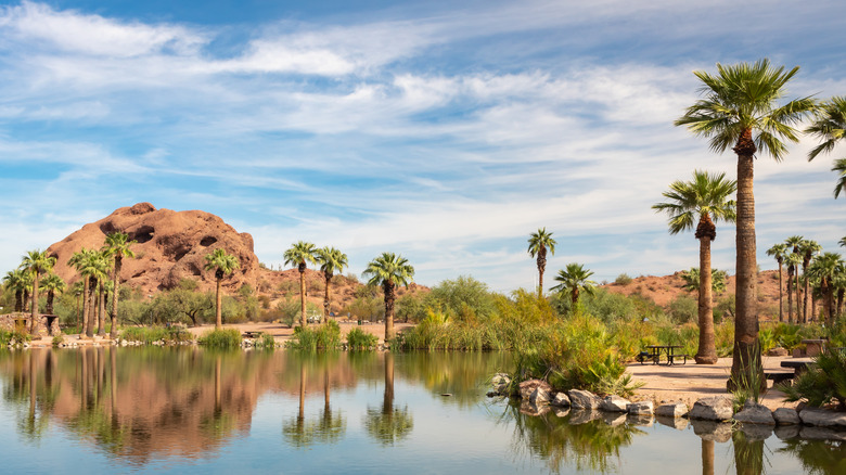 Palm trees water reflection oasis and mountains in the desert at Papago Park in Phoenix Arizona.