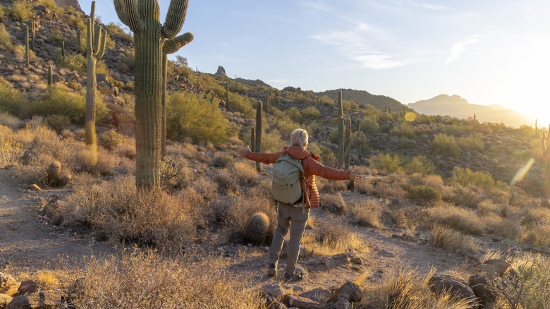 Mature man greets the sunrise in desert landscape, Apache Junction, Arizona