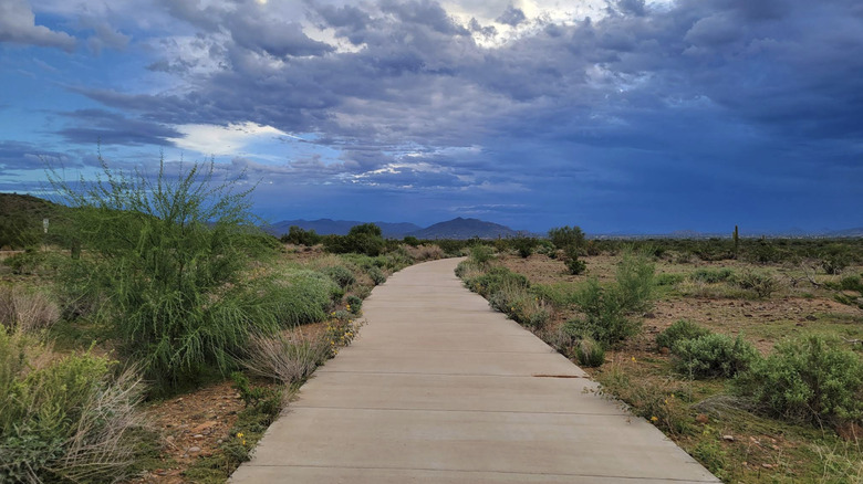 A paved trail surrounded by desert scenery in Phoenix's Sonoran Preserve