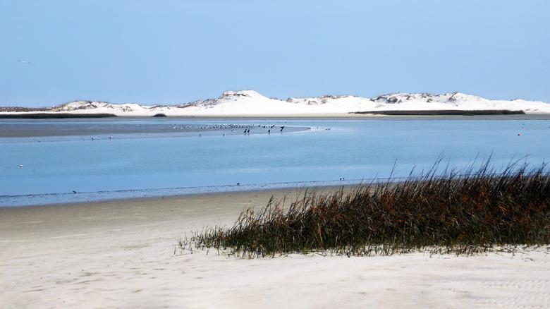 Sand Dunes at Huguenot Memorial Park in Jacksonville Florida