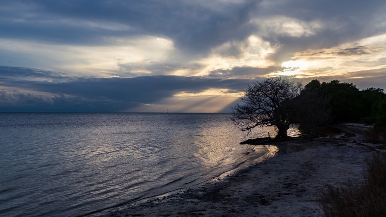 View of a beach in Long Key State Park at sunset, light beam through the clouds in the sky, Long Key, Keys, Florida