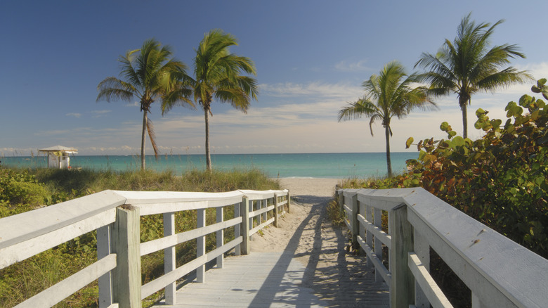 Boardwalk to a Florida beach