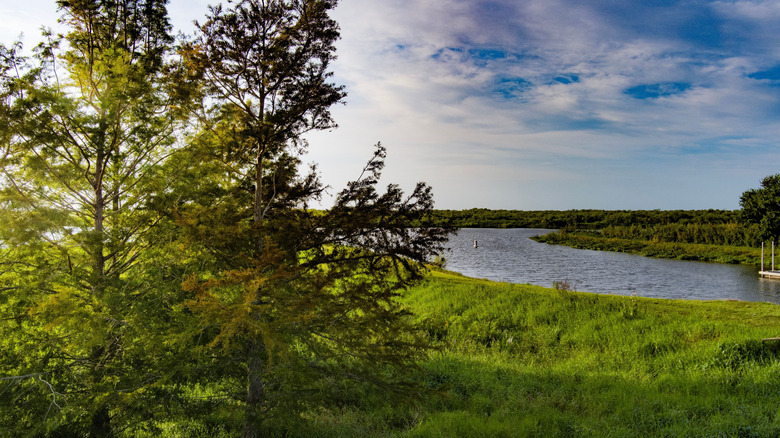 Lake Okeechobee surrounded by trees and grass