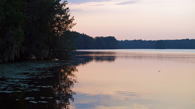 Lake Talquin in Florida at dusk with trees on the side