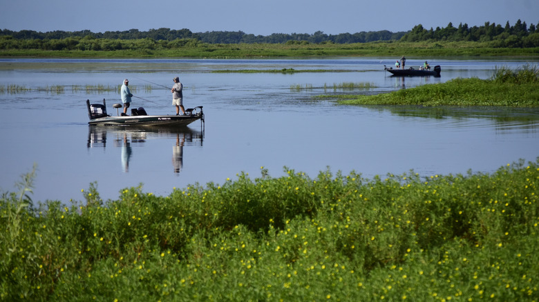 two boats on the water with green grass surrounding Lake Tohopekaliga