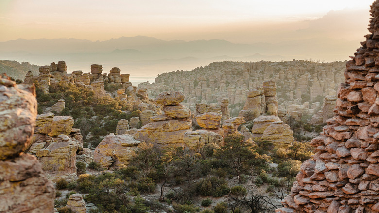 Wide view of the hoodoos Chiricahua National Monument at sunset