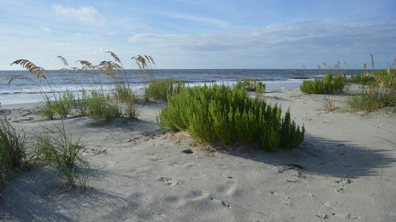 St. Simons Island, Georgia
