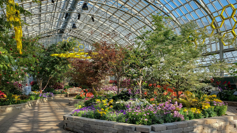 Garfield Park Conservatory in Chicago