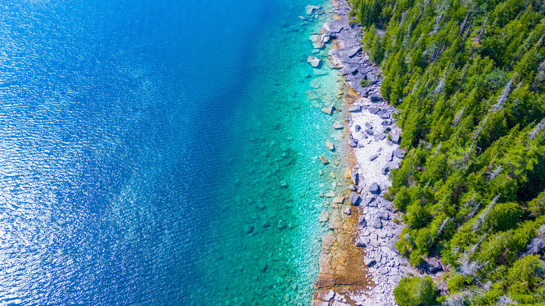 Drone view of the crystal clear blue waters and the forest shoreline of Tobermory, Canada