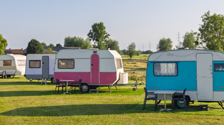 A caravan of retro trailers parked on a lawn