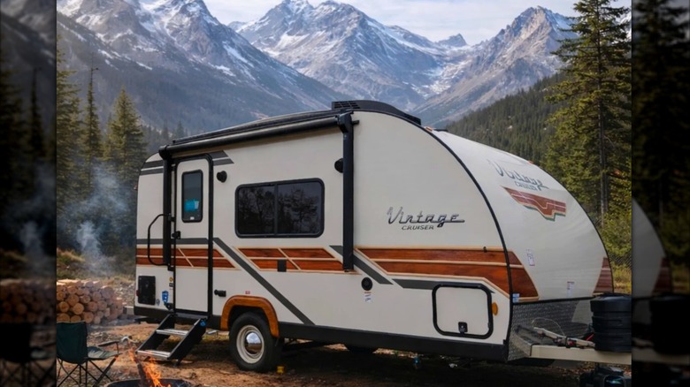 White and brown Vintage Cruiser against a mountain backdrop