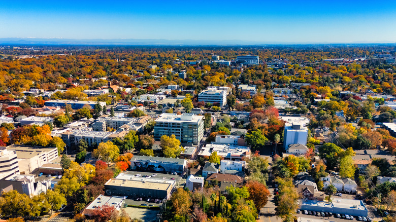 Midtown Sacramento's grid-like streets lined by trees with fall foliage and buildings.