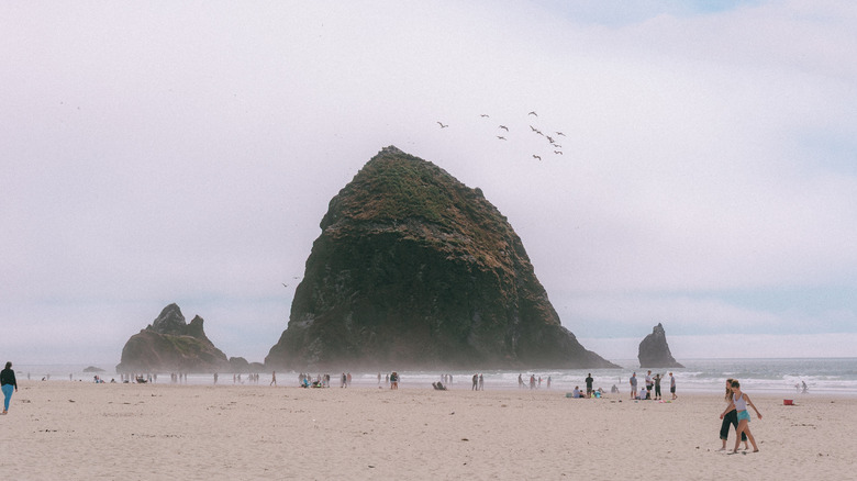 Cannon Beach rock formation in the water in Oregon