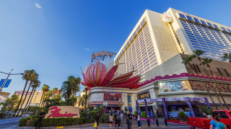 Exterior of the Flamingo Hotel