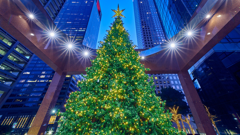 Tall Christmas tree at night in downtown Houston