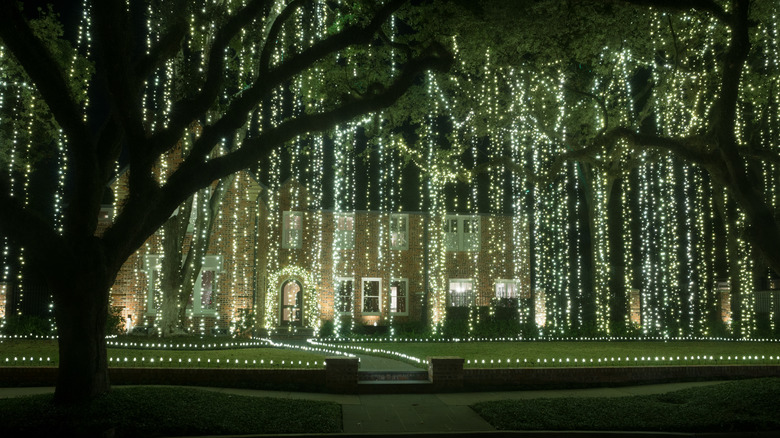 Large house with curtains of Christmas lights hanging from trees in Houston Texas