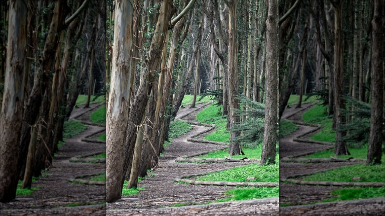 Wood Line sculpture in San Francisco, California