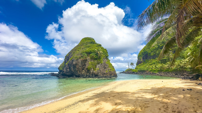 A moss-covered rock sits in the water of a sandy beach