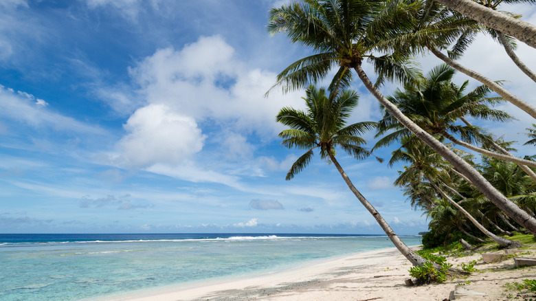 White beaches and clear blue waters against blue skies, with leaning palm trees to one side