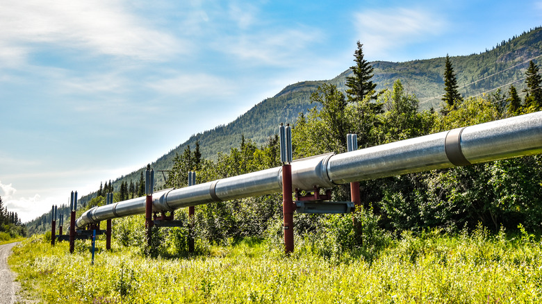 A stretch of the Trans-Alaska Oil Pipeline in Alaska
