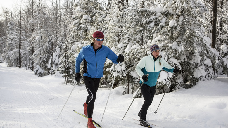 Two people snowshoeing through a snowy trail lined with pine trees