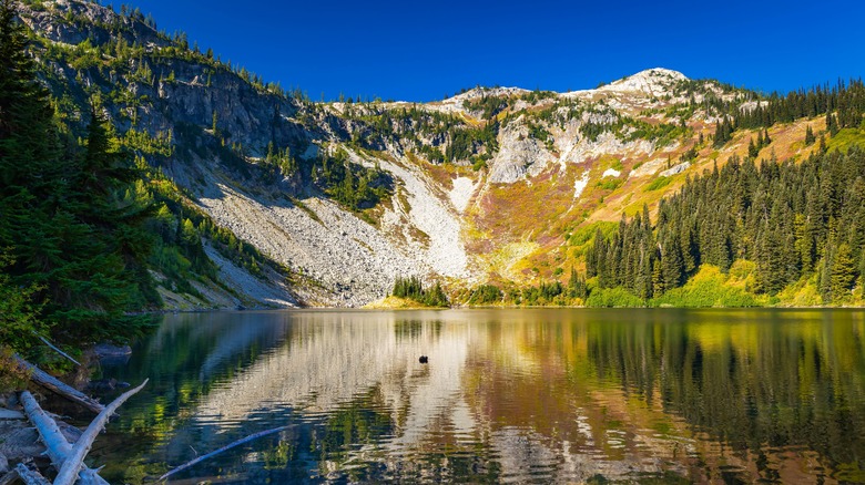 The shoreline of Lake Ann in North Cascades National Park