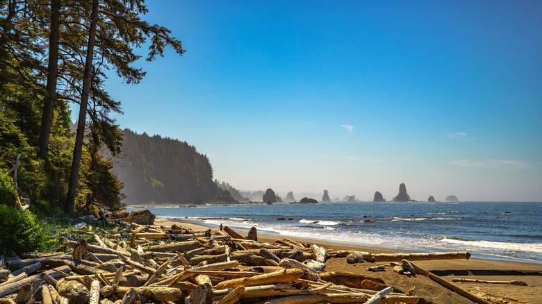 Looking out to the Pacific Ocean from Third Beach