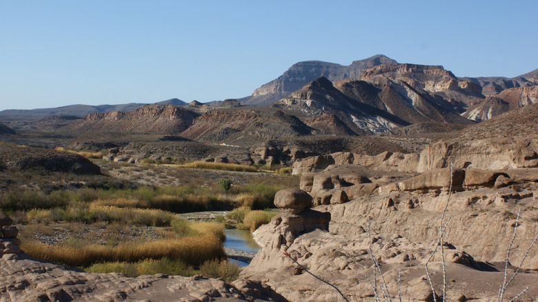 A landscape shot of Big Bend Ranch State Park with Hoodoo formations in the distance.