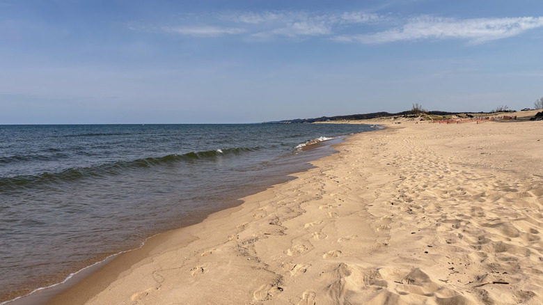 A stretch of sandy beach in Michigan