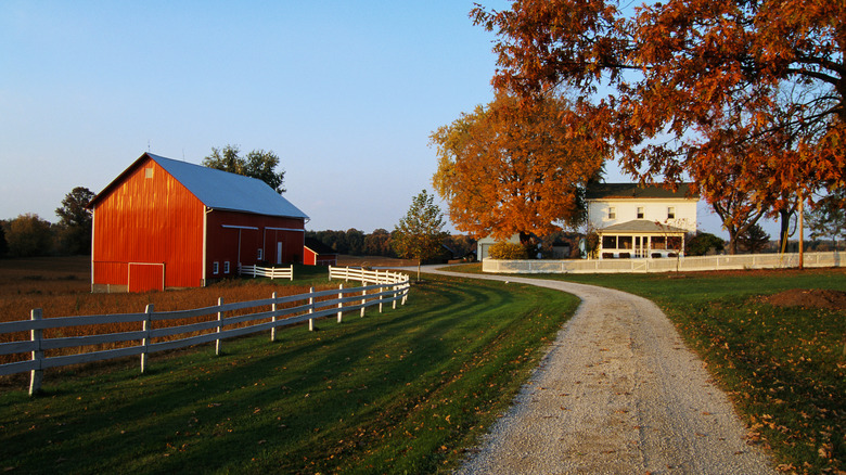 Midwestern scene with a dirt road and a red barn